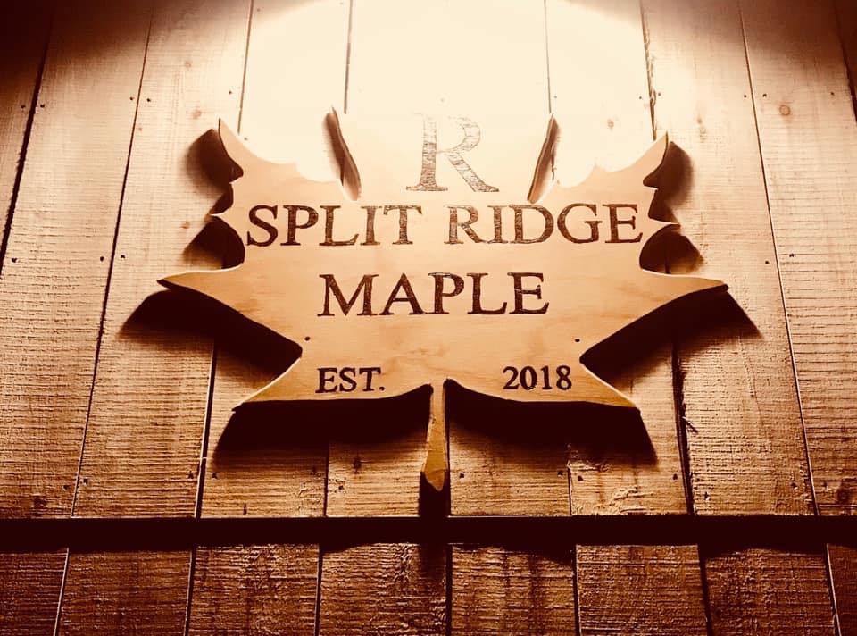 Split Ridge Maple