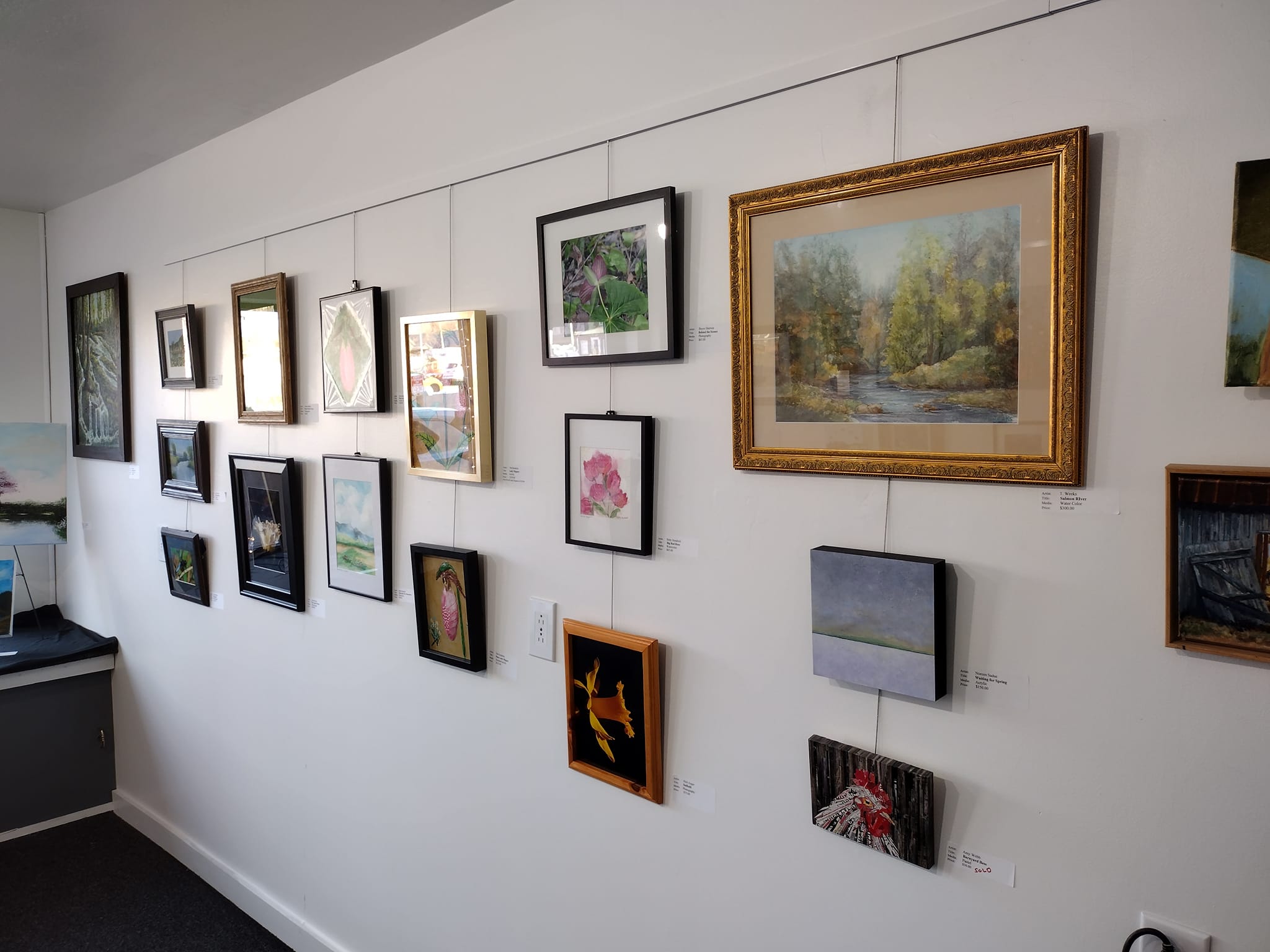 Foothills Art Society
