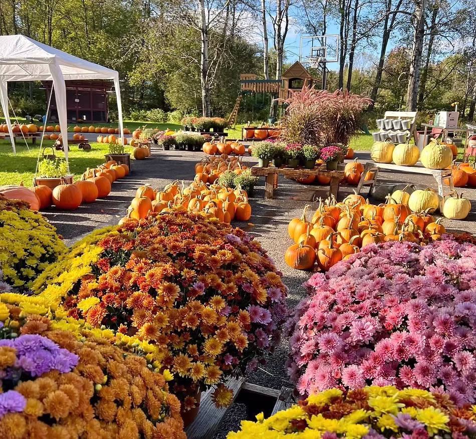 McClelland Family Farm