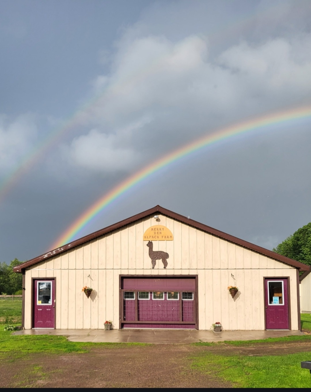 Merry Den Alpaca Farm