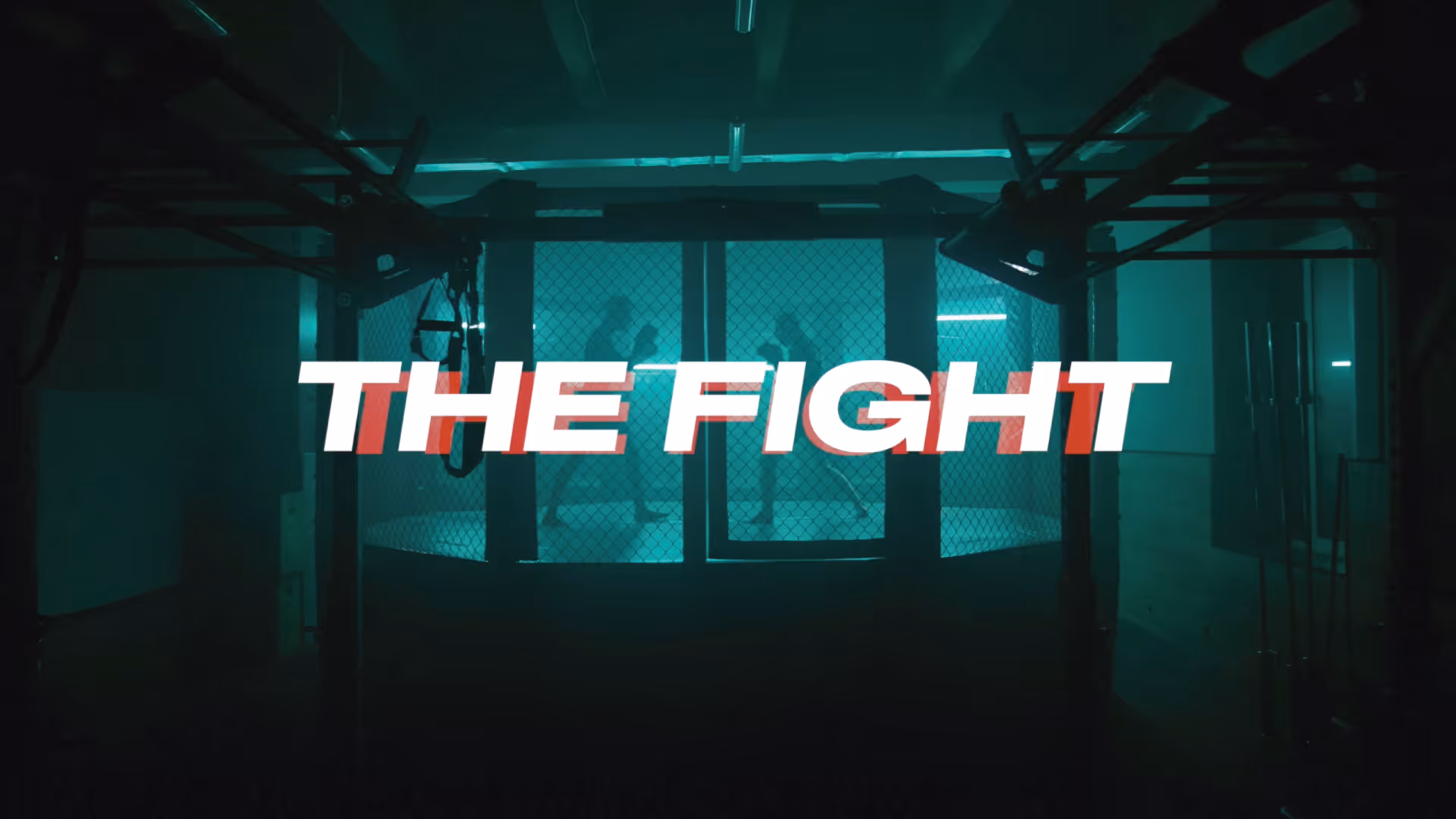 The Fight