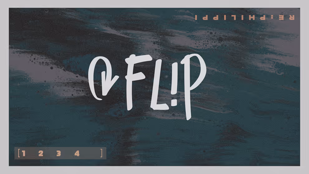 Flip