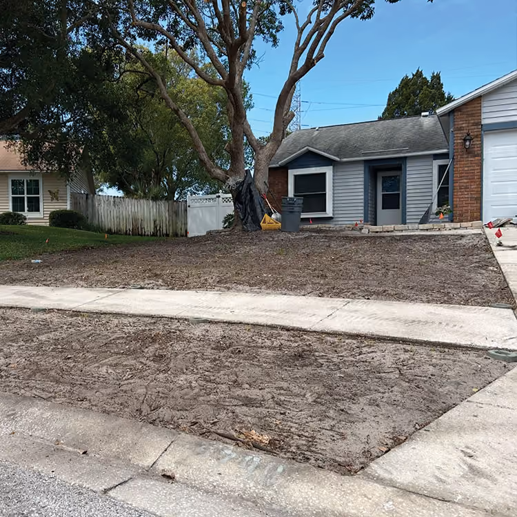 Front yard after grass removal and grading in preparation for new sod.