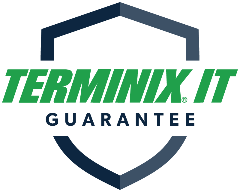Shield logo with green text Terminix IT and dark blue text Guarantee below it.
