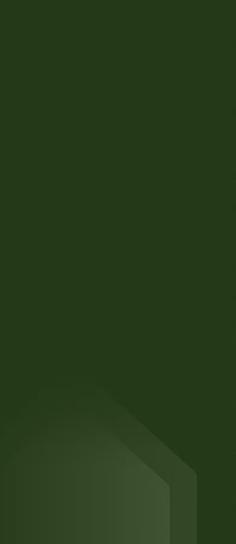 Dark green textured background with subtle angled shadow shapes in the bottom-right corner.