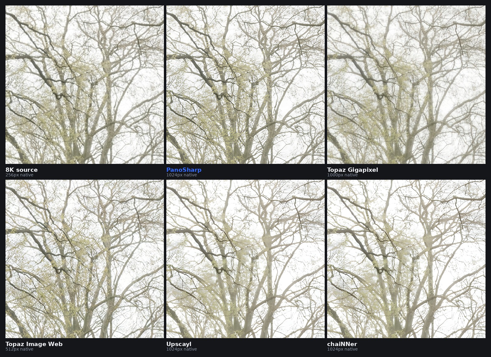 Bare branches in Day-028 compared across the source and five upscalers.
