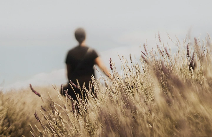 Person standing in a field with tall grasses and lavender flowers under a cloudy sky.