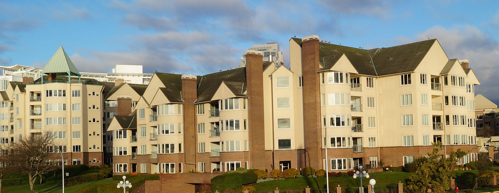 multi-family steel-framed building, structural design