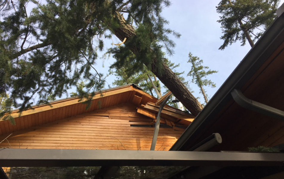 fast response structural assessment for building damage claims