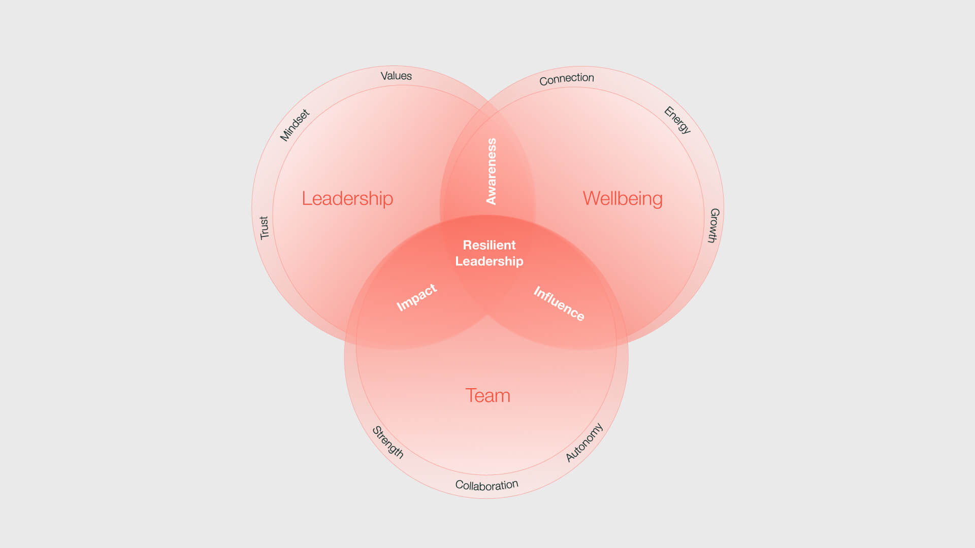 Venn diagram with overlapping circles titled Leadership, Wellbeing, and Team forming Resilient Leadership center.