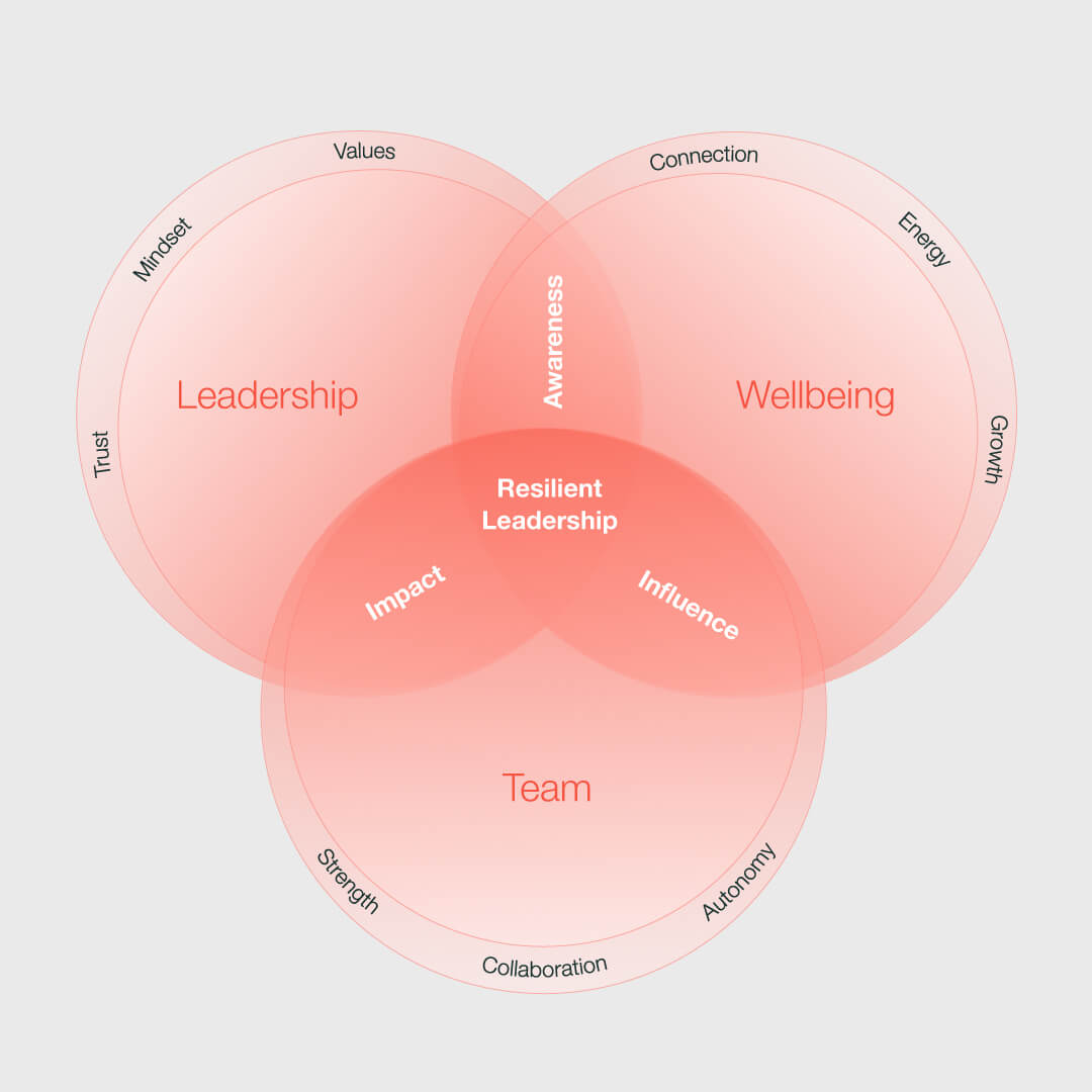 Venn diagram showing Leadership, Wellbeing, and Team overlapping to form Resilient Leadership.