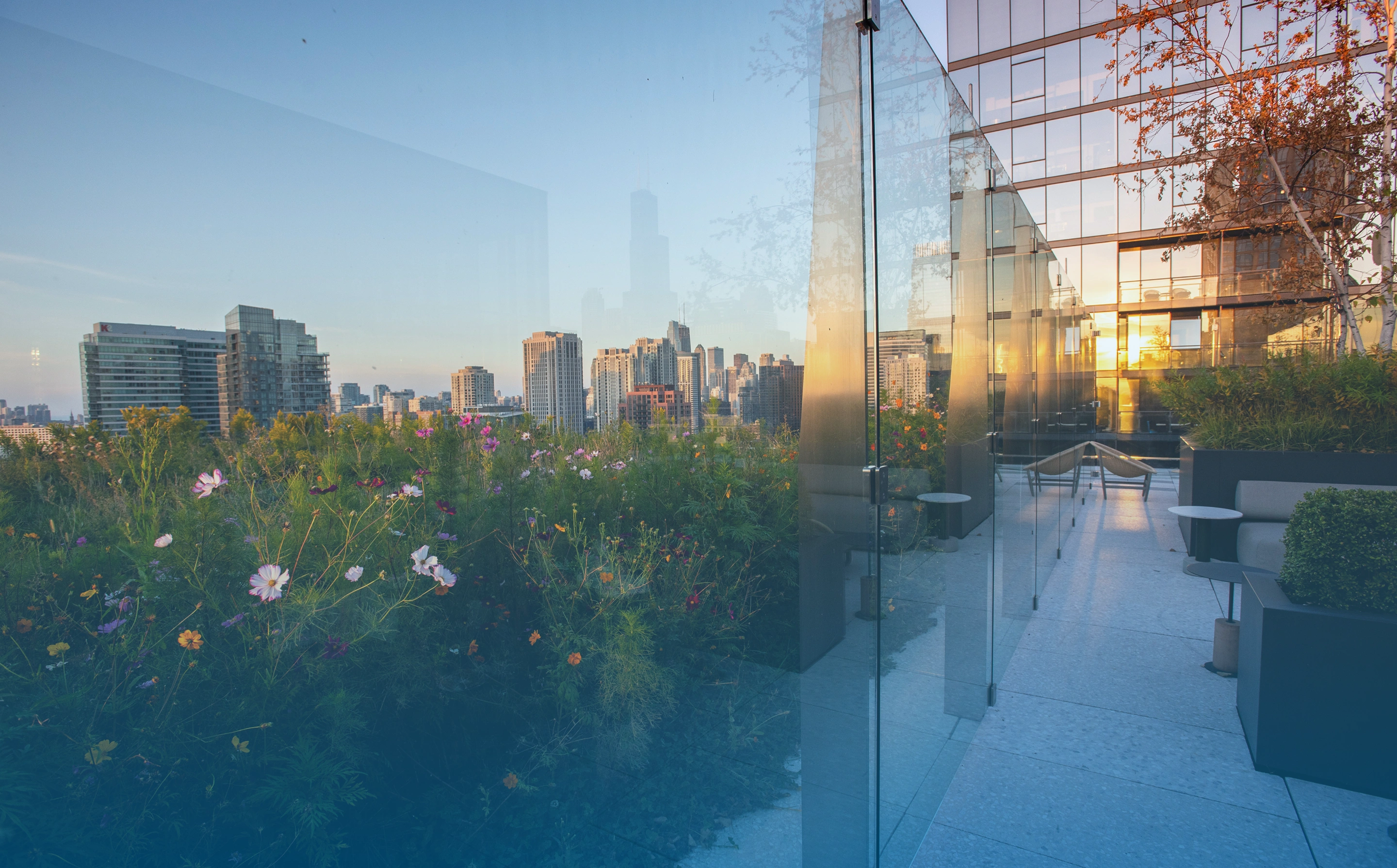 Urban rooftop garden with flowers, glass walls, seating, and city skyline at sunset.