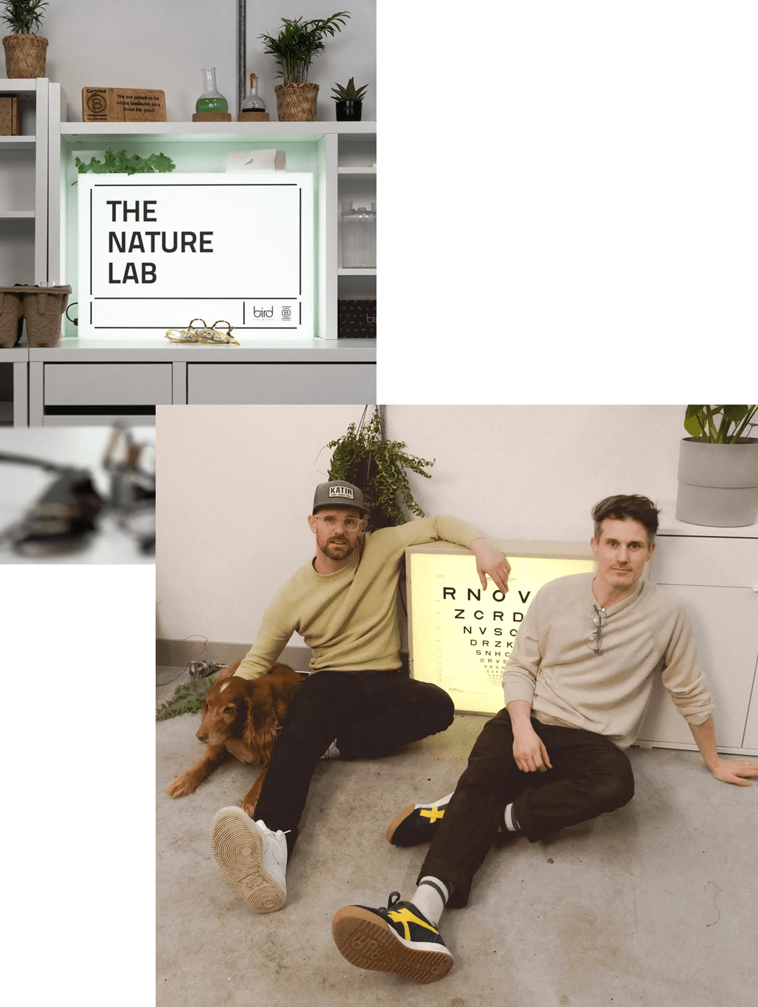 Two men sitting on the floor next to an illuminated eye chart and a brown dog in a modern room with plants.