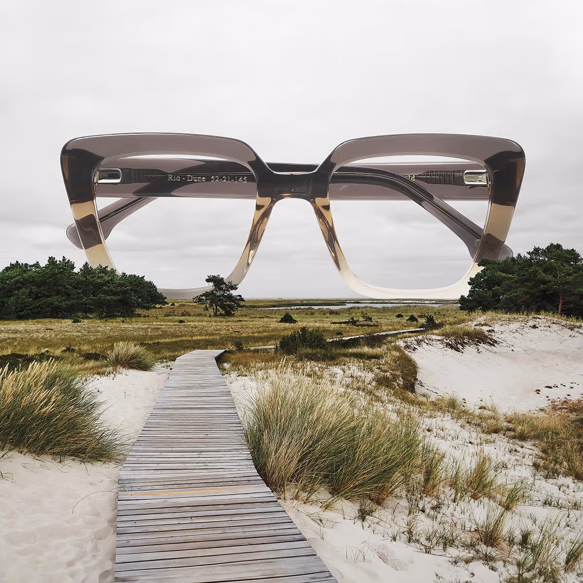 Oversized translucent brown eyeglasses frame superimposed over a coastal dune landscape with a wooden boardwalk and grassy sand dunes.