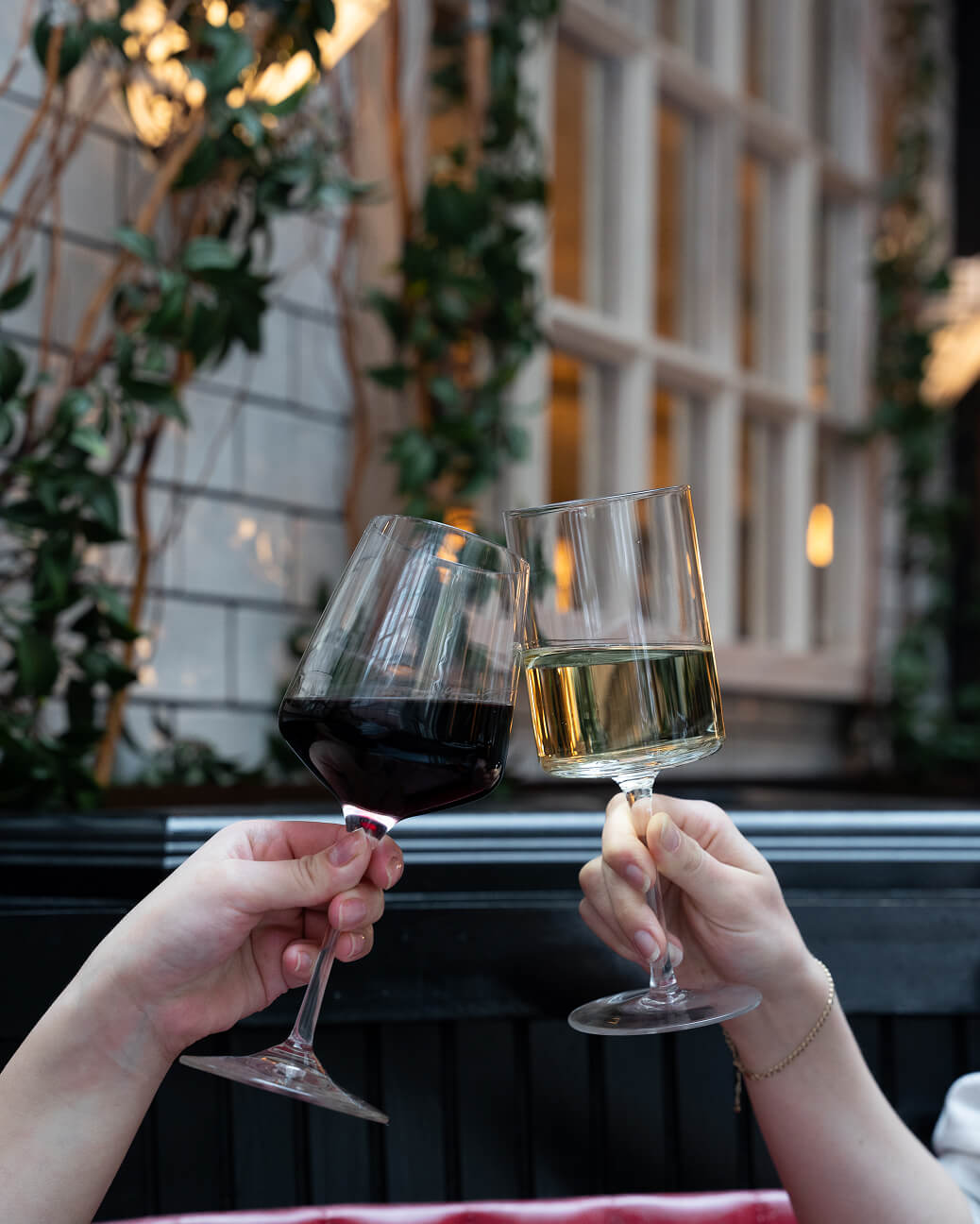 Two hands clinking glasses of red and white wine in a celebratory toast at an indoor setting with green plants and window in the background.