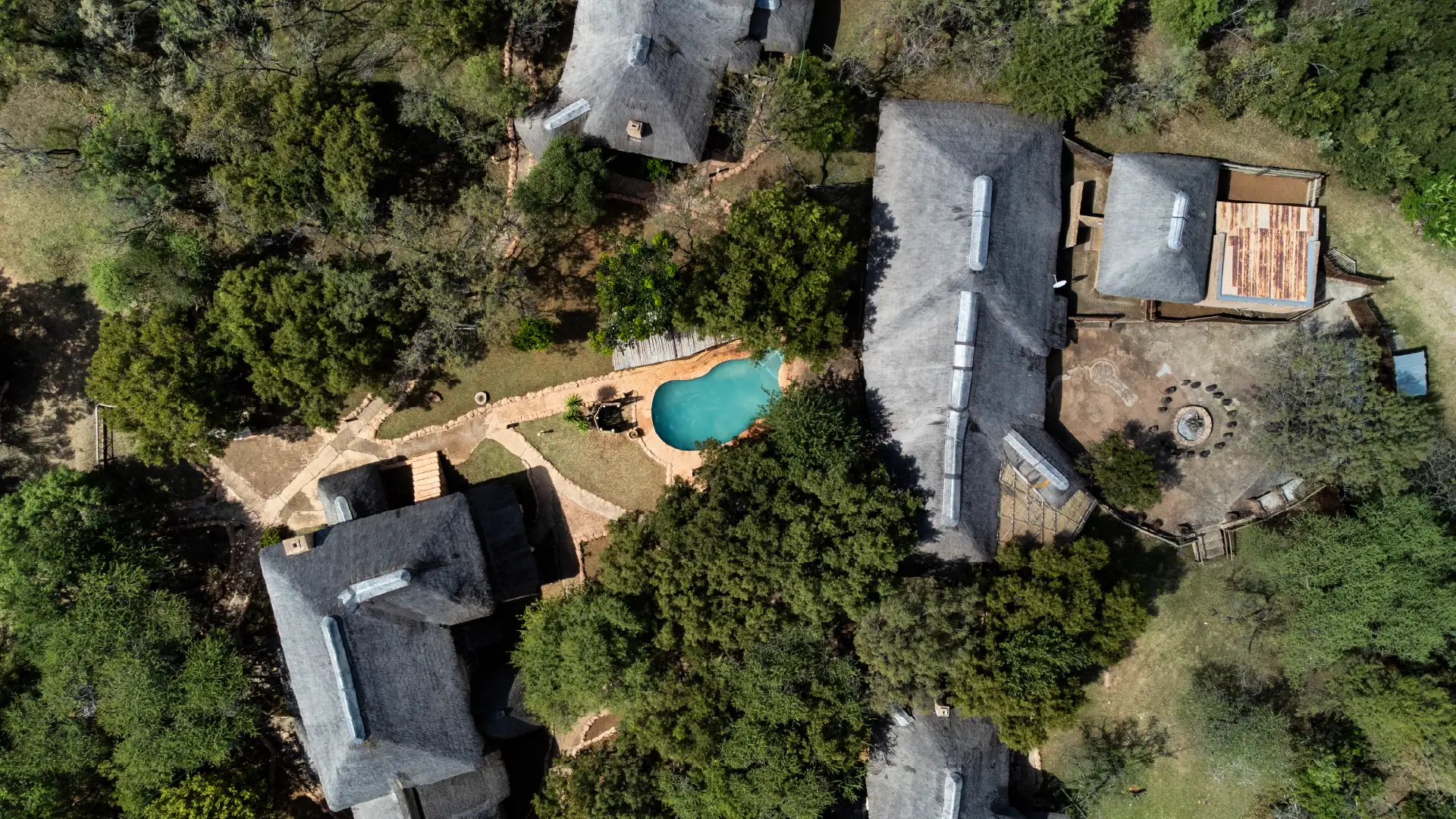 Thatched bush cottages surrounded by trees and greenery at Bush Lodge, Zebra Nature Reserve