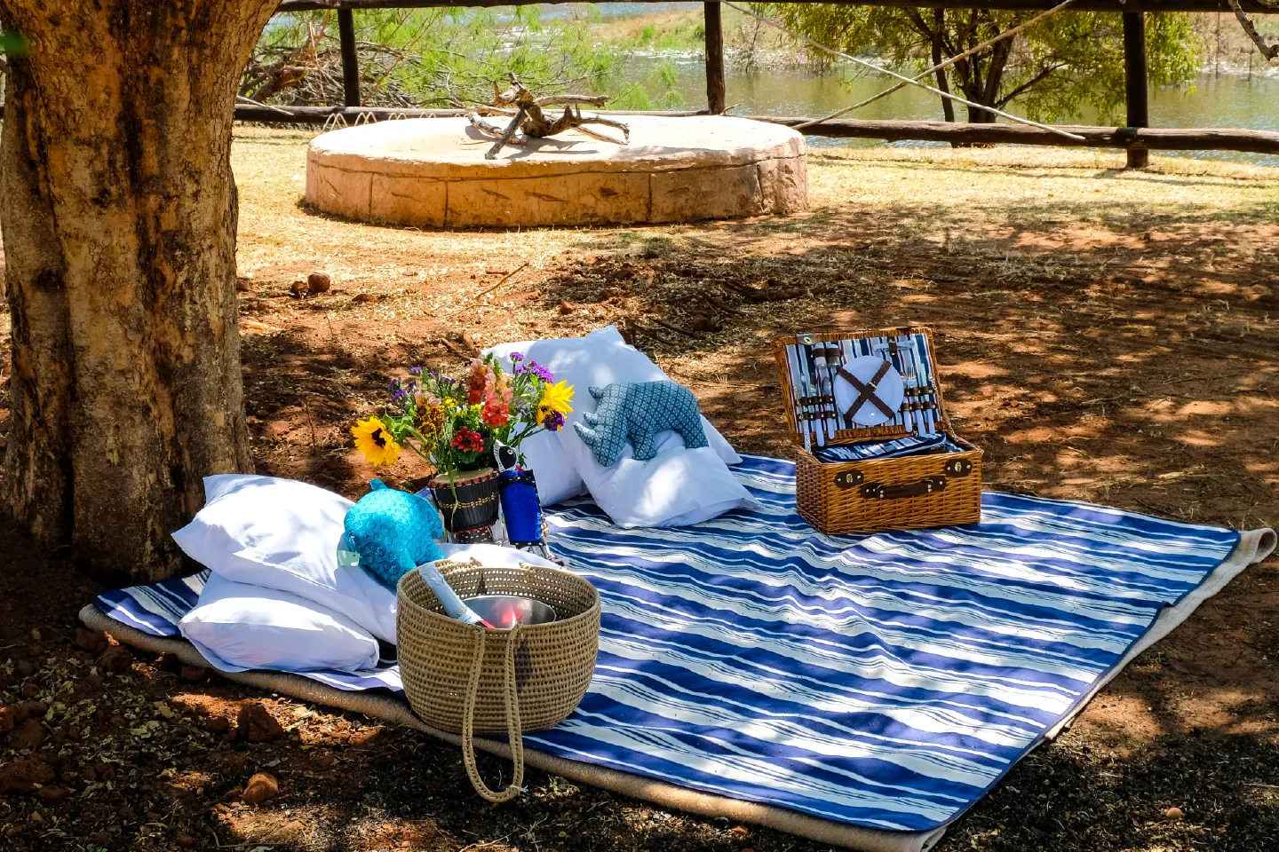 Picnic setup in the bushveld at Zebra Nature Reserve.