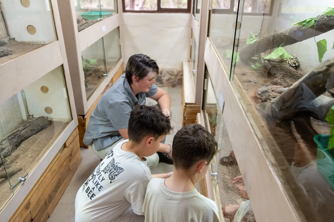 Staff member showing children the reptile enclosures at Zebra Nature Reserve