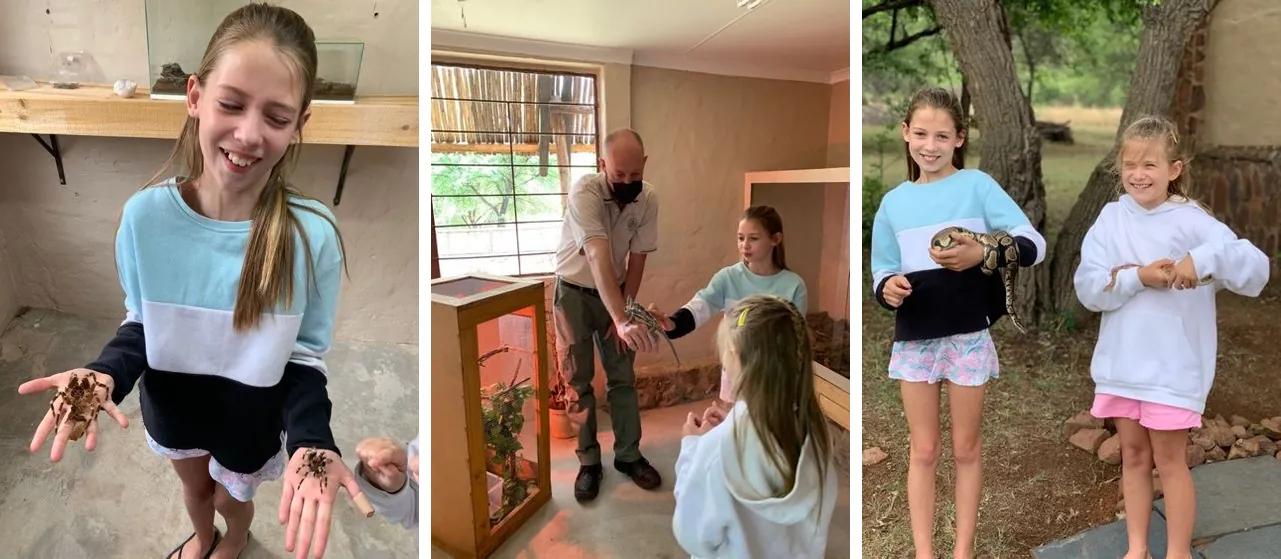Young visitors holding tarantulas and snakes and meeting reptiles with a staff member at the Reptile Conservation Centre