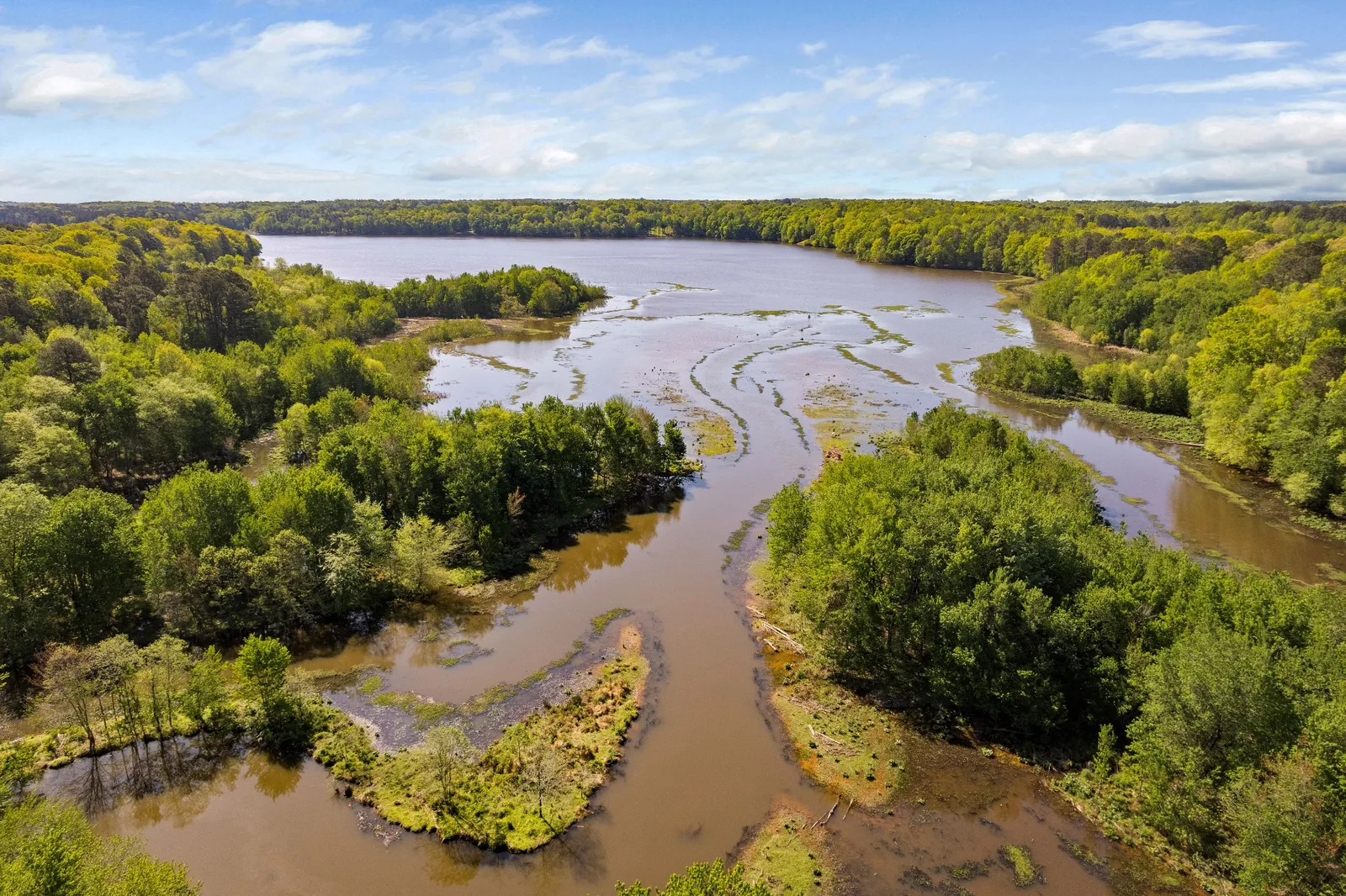Aerial view of wooded landscape and water near Garner, North Carolina