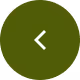 previous button icon