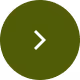 next button icon