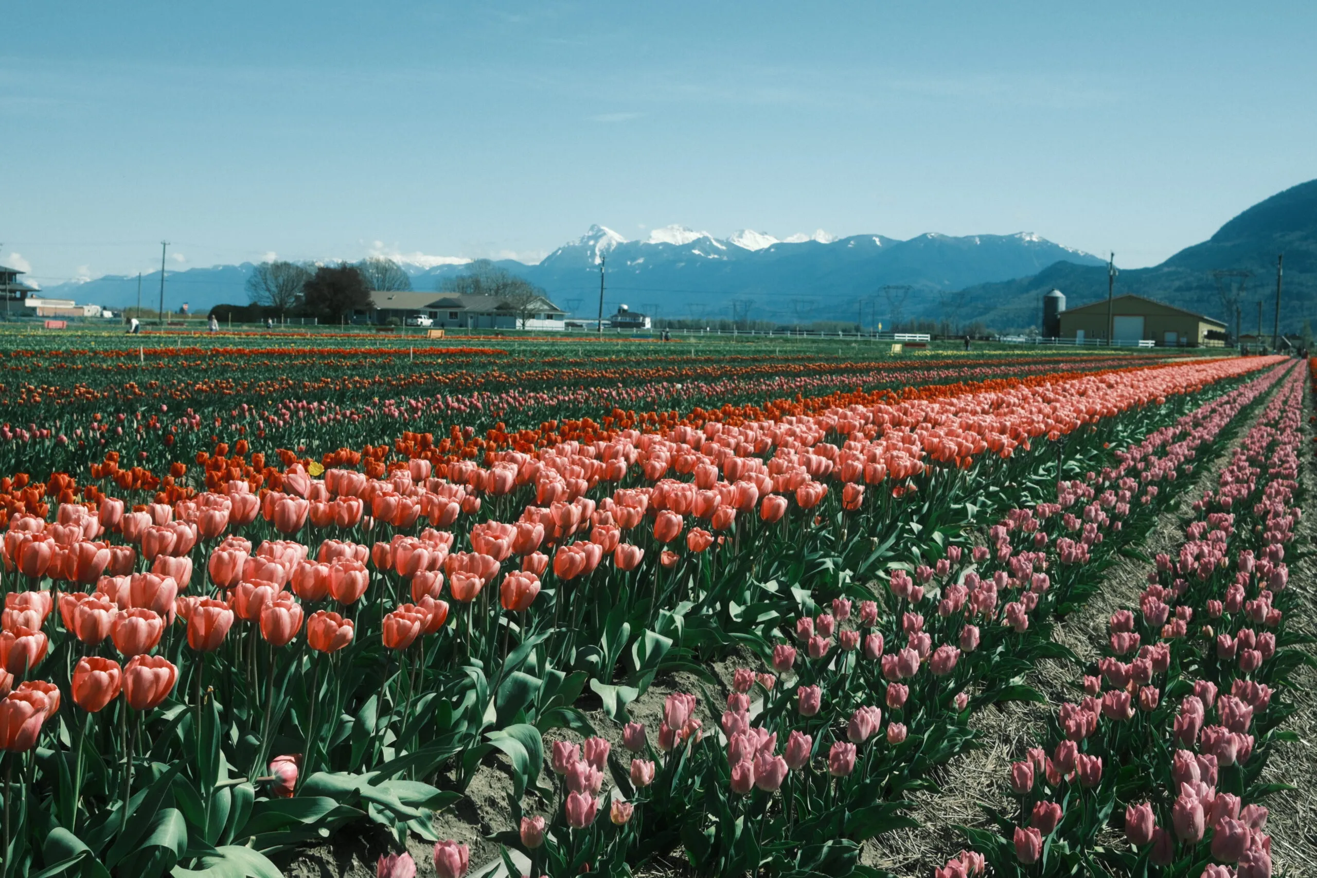 Encountering God as Life Happens