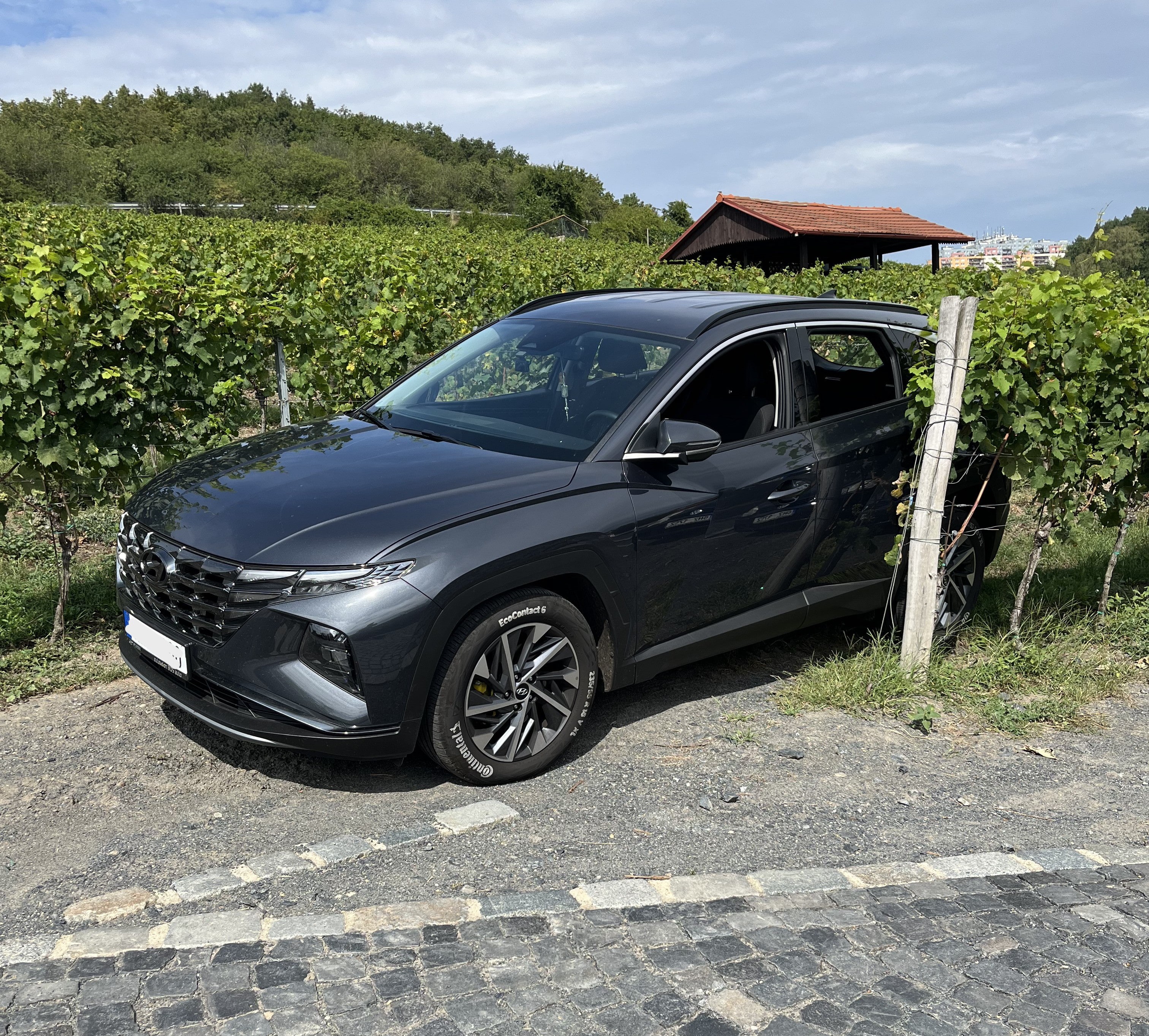 Fotka čistého auta které stojí vedle vinic