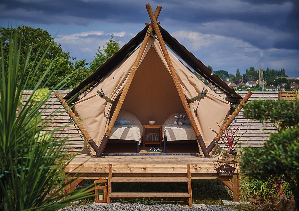 Emplacement de camping ombragé sous les pins