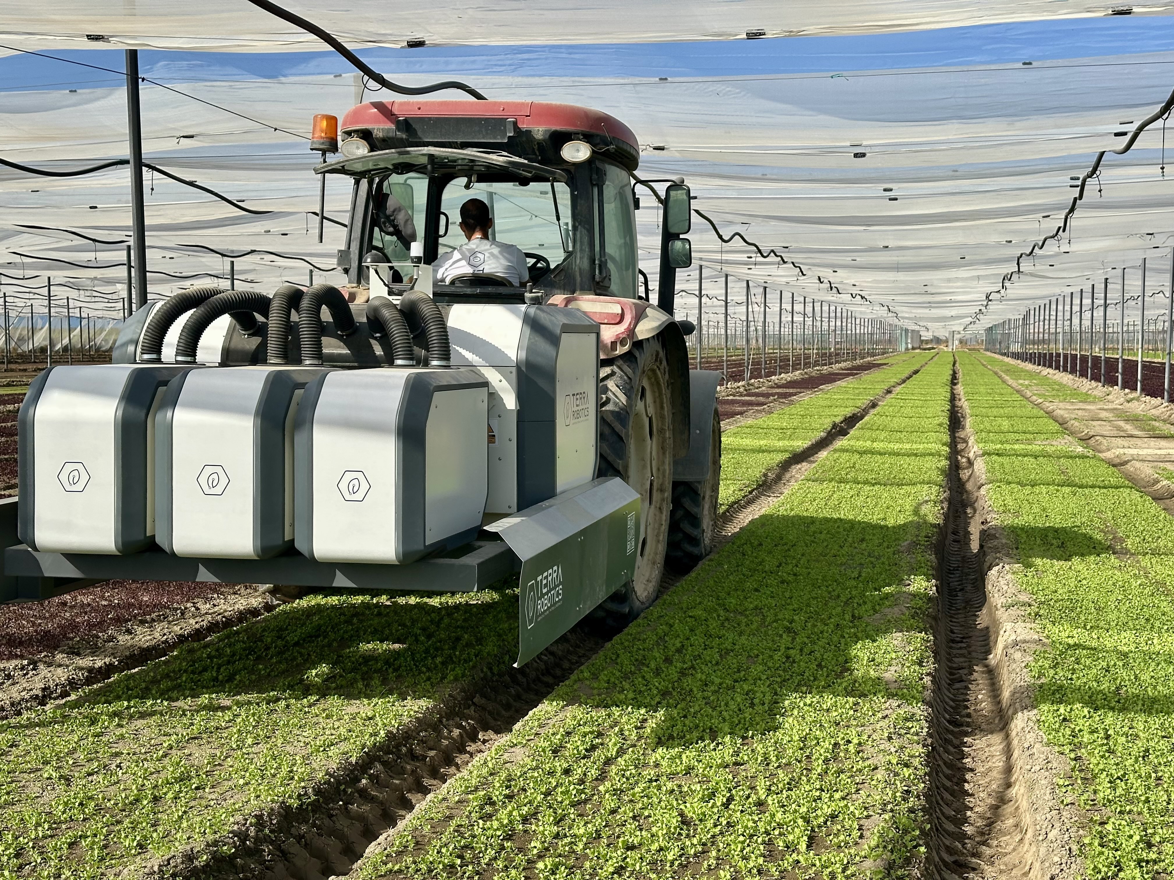Tractor with Terra Robotics laser weeder attachment working on rows of crops under shade netting.