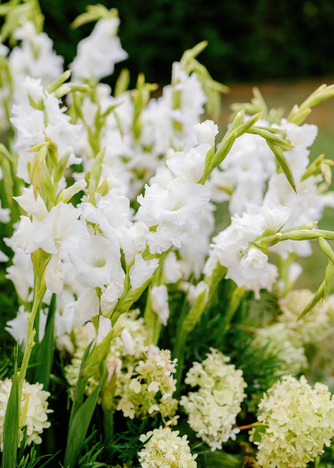Superfloral Thessaloniki Wedding