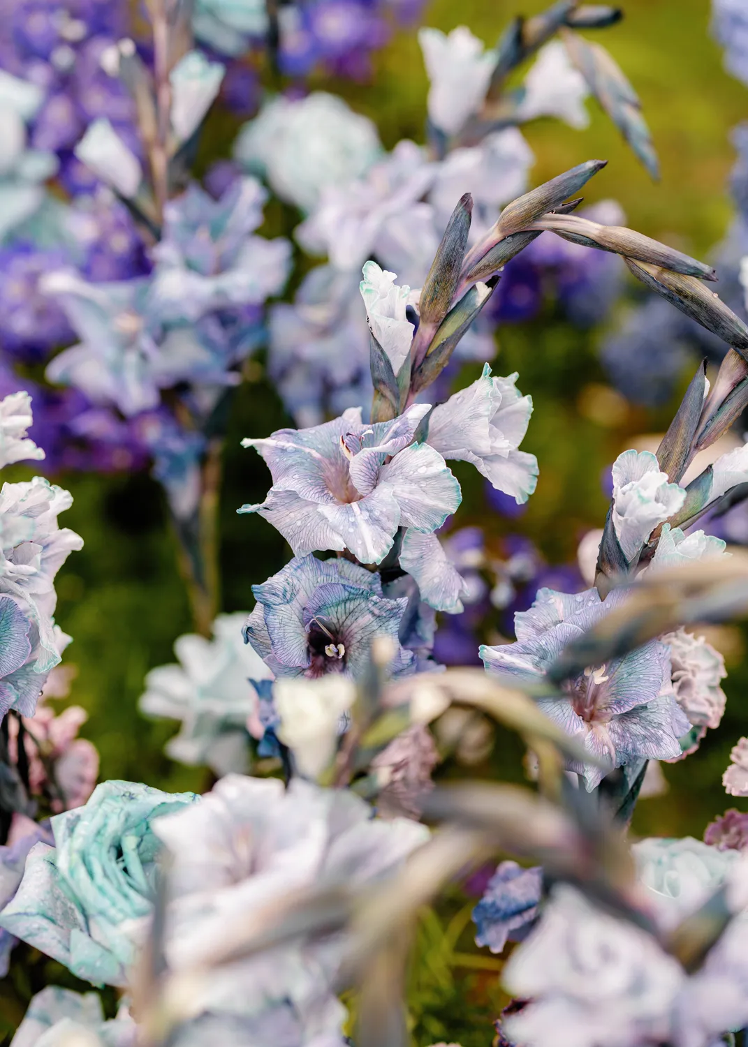 Superfloral Thessaloniki Wedding