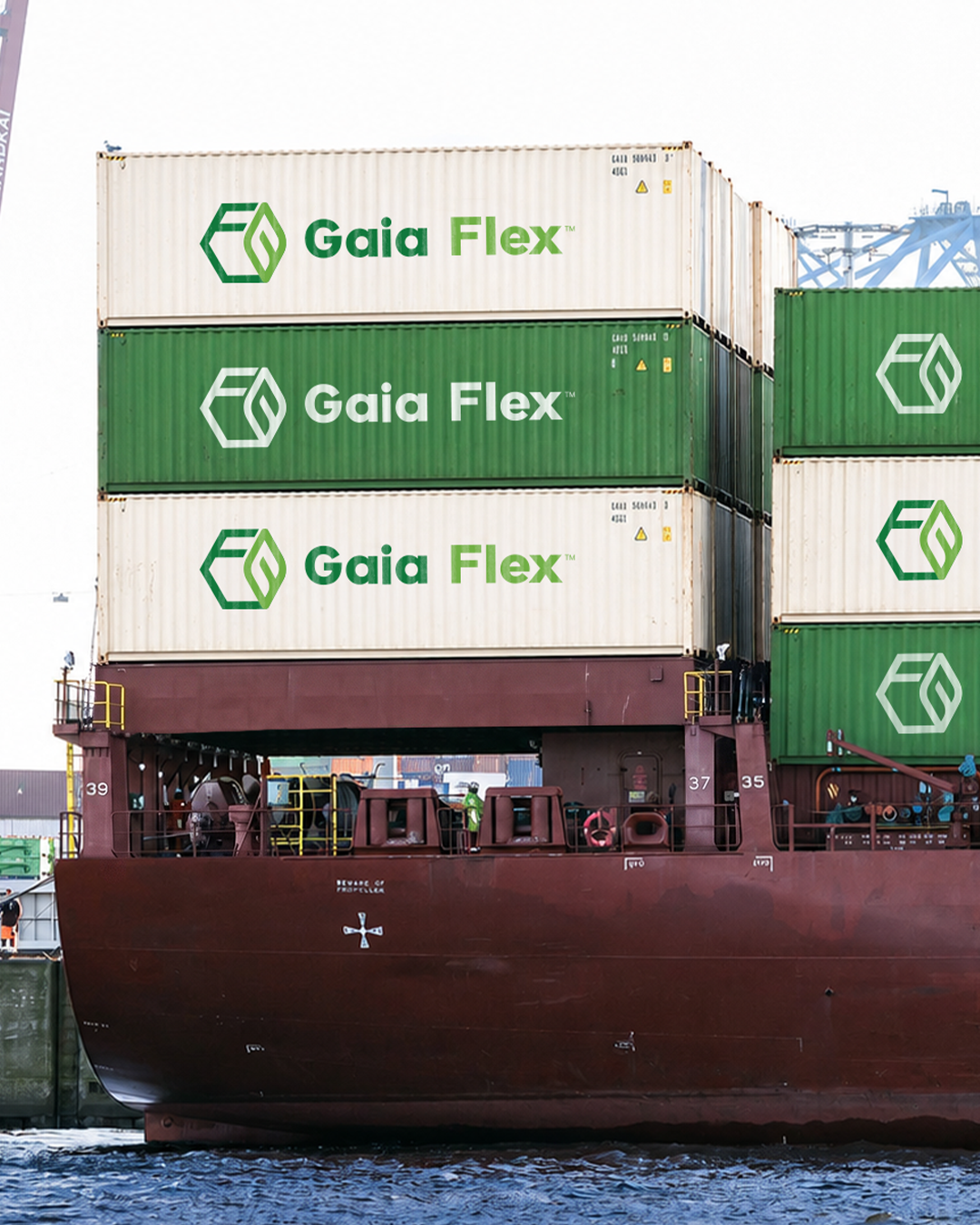 Export market global supply