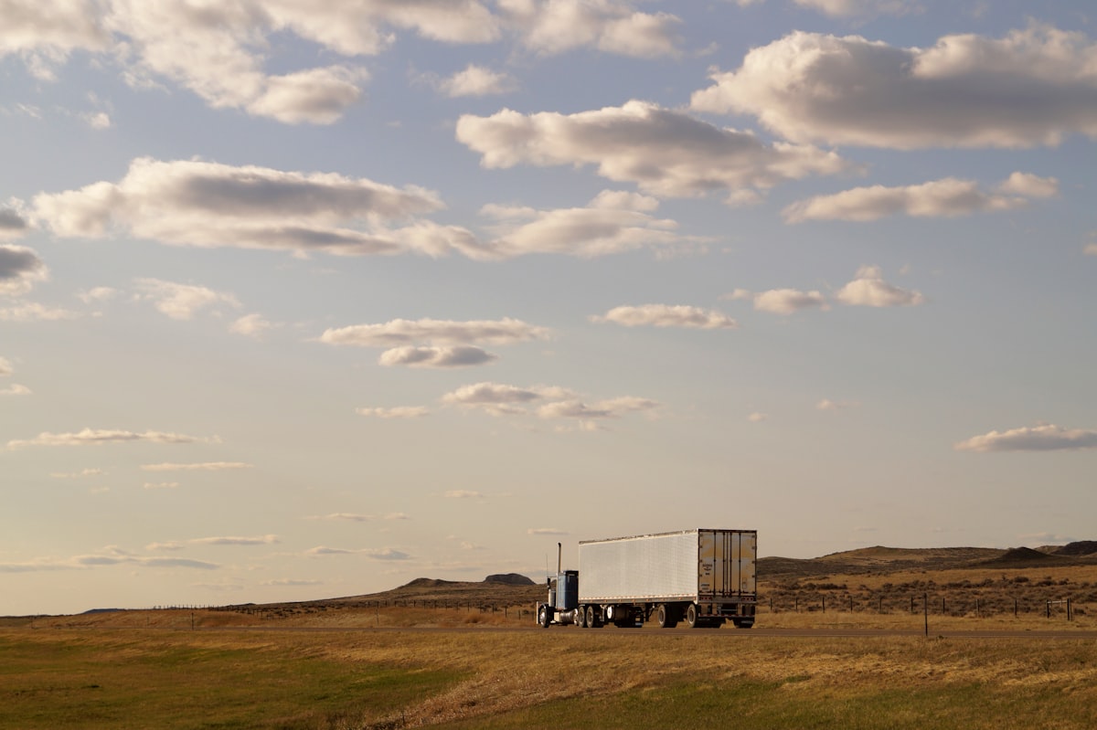 Truck on green field with bed visible
