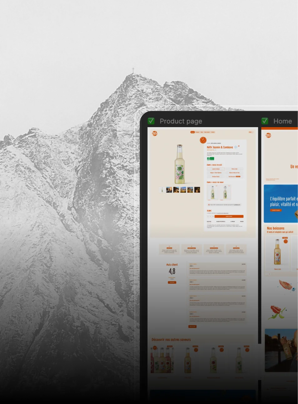 exemple de maquette web design