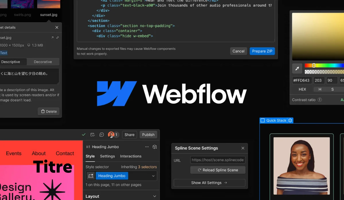 la plateforme webflow