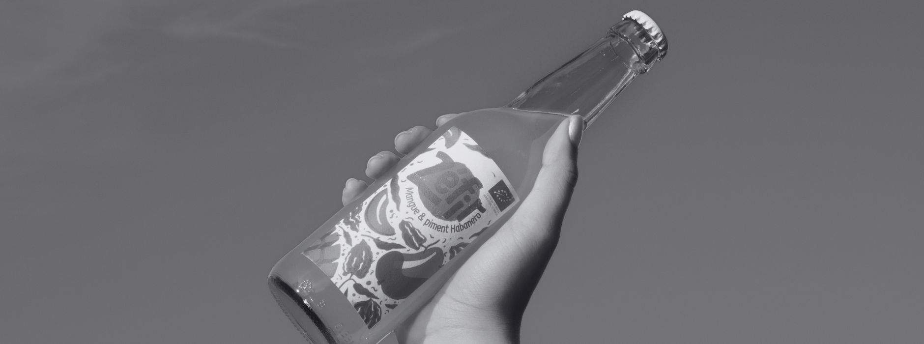 illustration du projet de zéfir