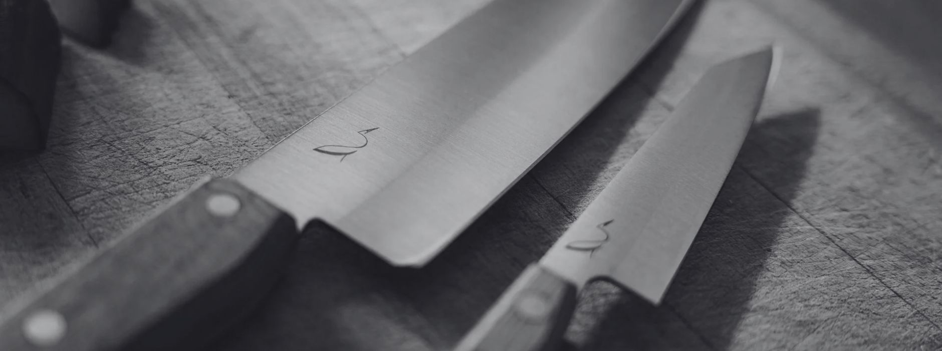 illustration du projet de maison stamm