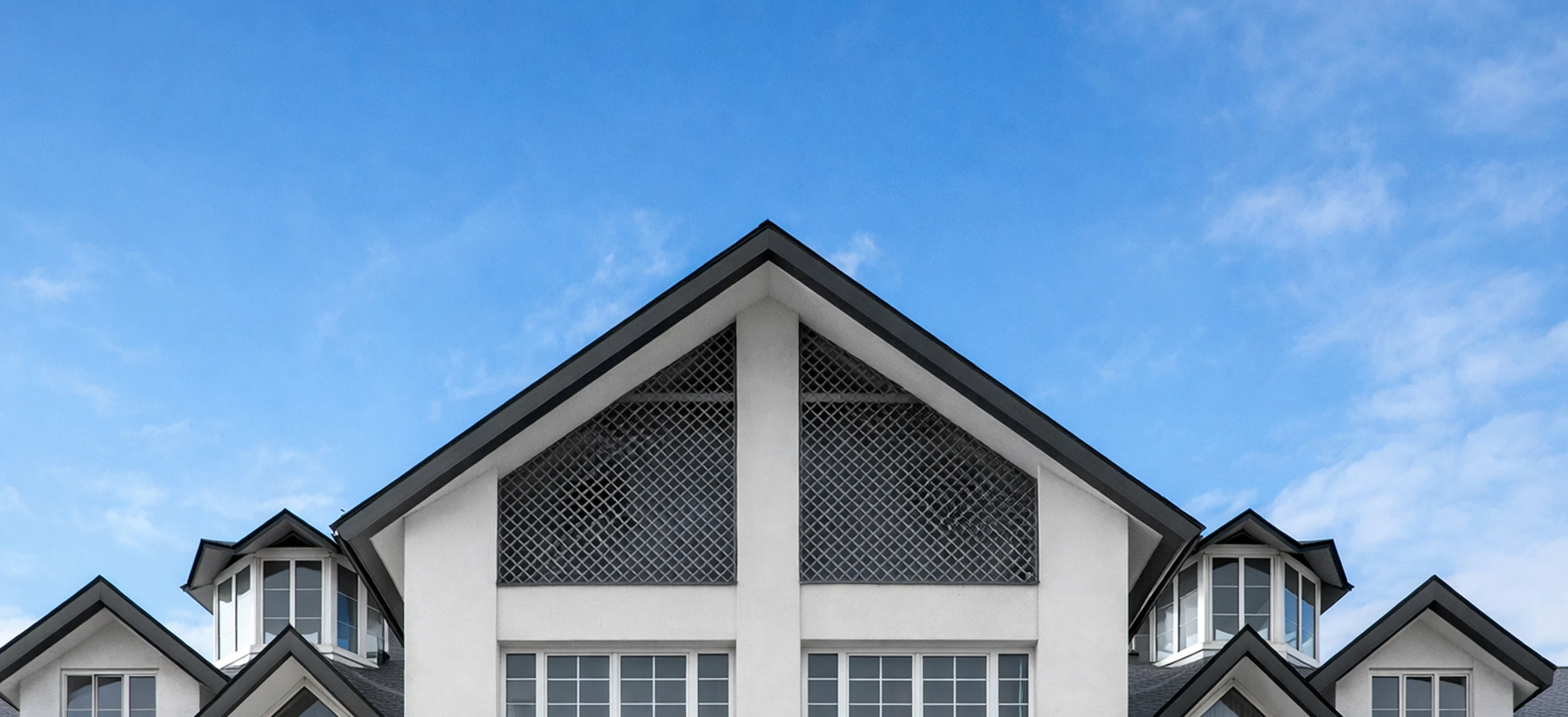 Luxury modern villa roofing