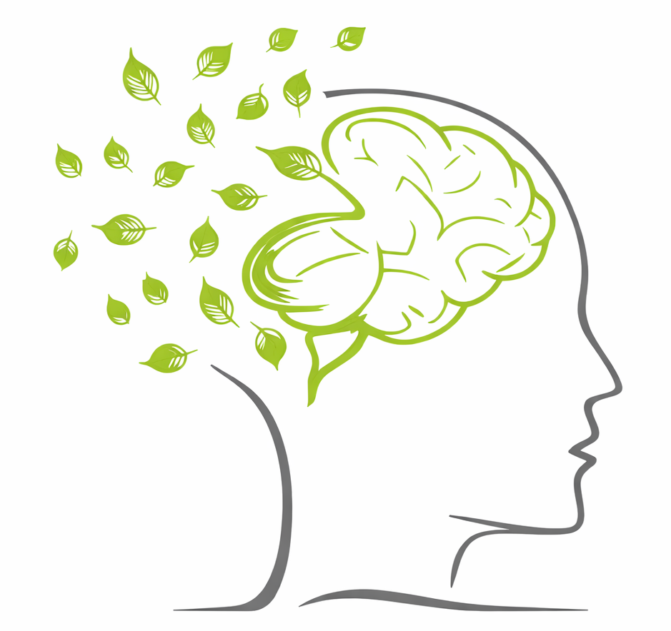 Outline of a human head in profile with a green brain inside and green leaves flowing out from the back of the head.