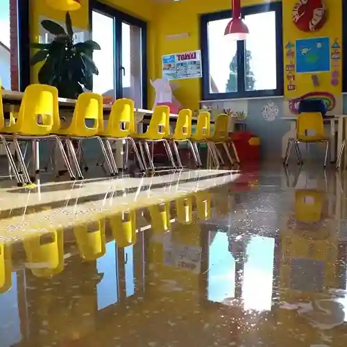 School Cleaning
