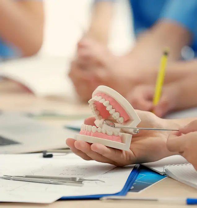 Hands holding a dental model with a dental mirror tool, with blurred people and papers in the background.