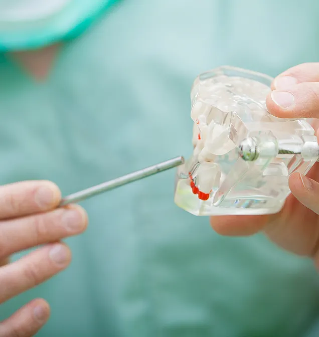Close-up of a hand holding a transparent dental model with metal braces, while another hand points at it with a metal tool.