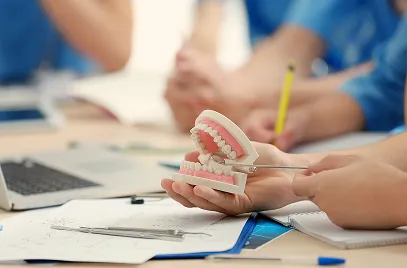Person holding dental model of human teeth with a dental tool over a desk with papers and a laptop.