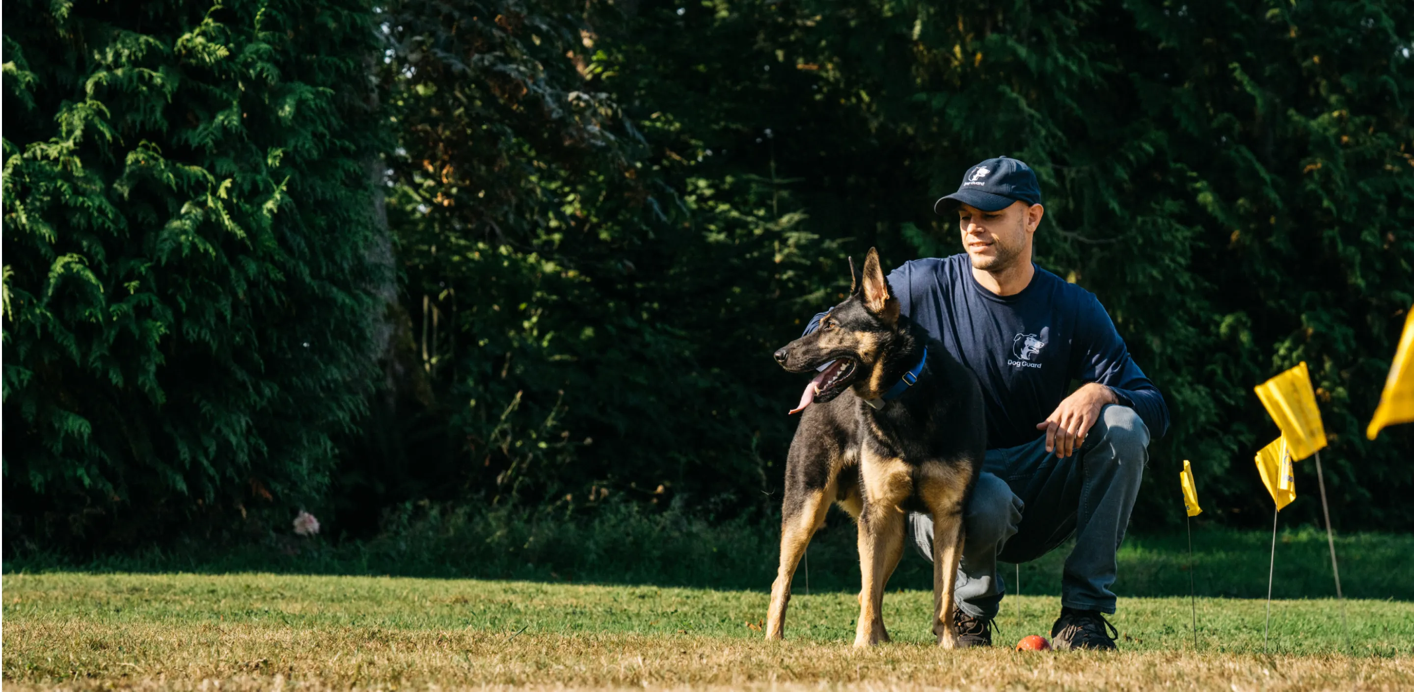 Dog Guard Pro Training Dog