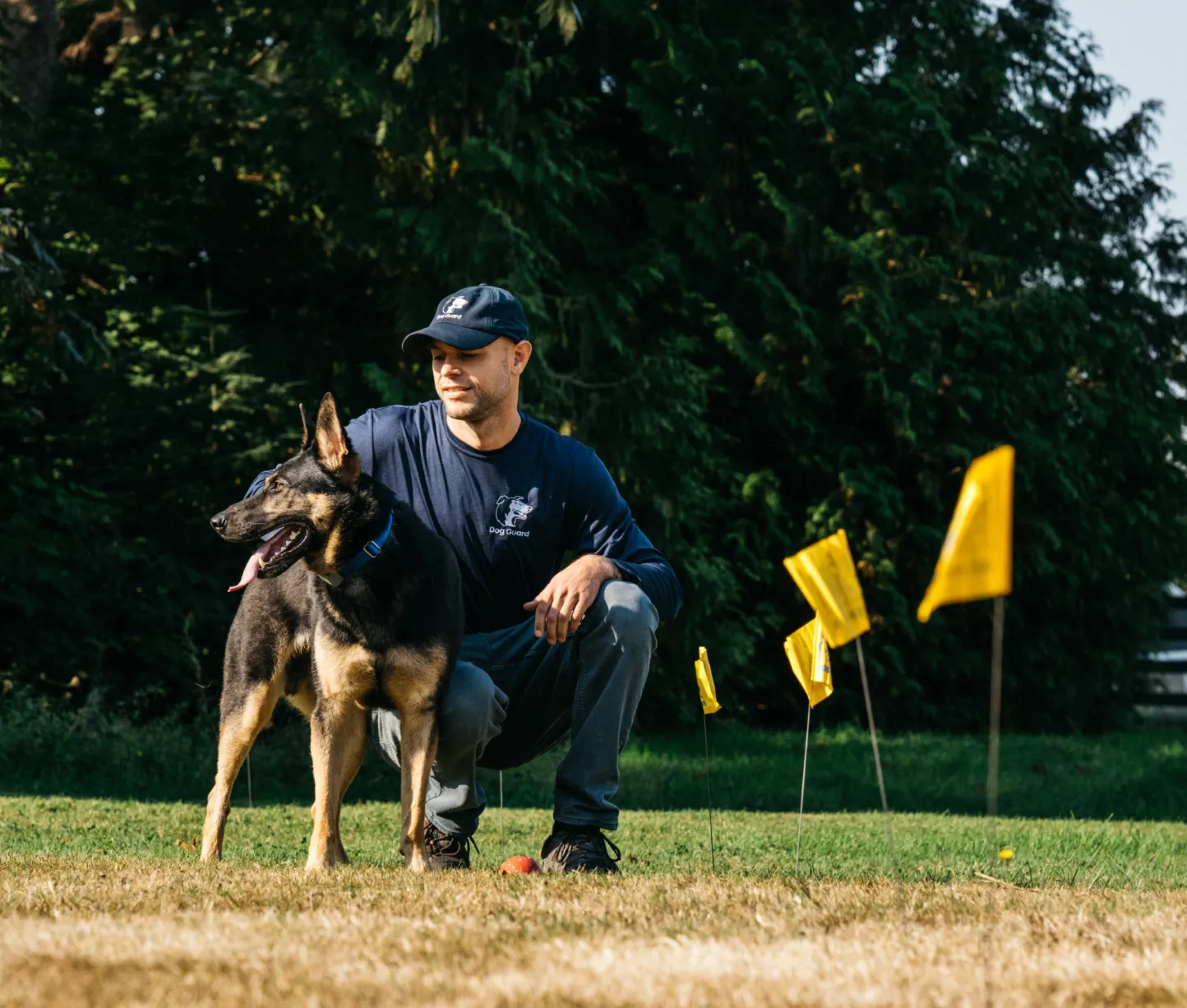 Dog Guard Pro training dog