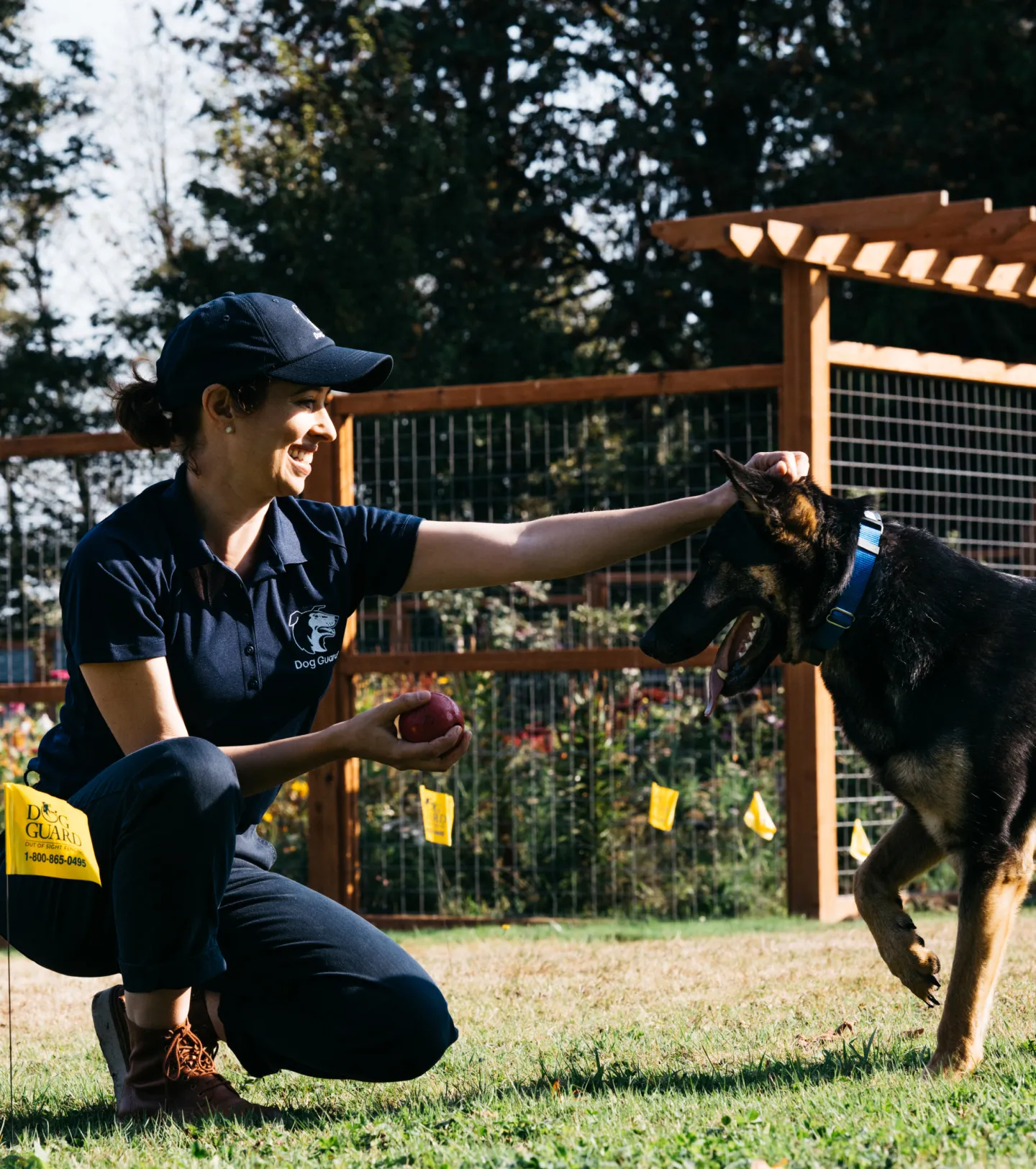 Dog Guard Professional Training