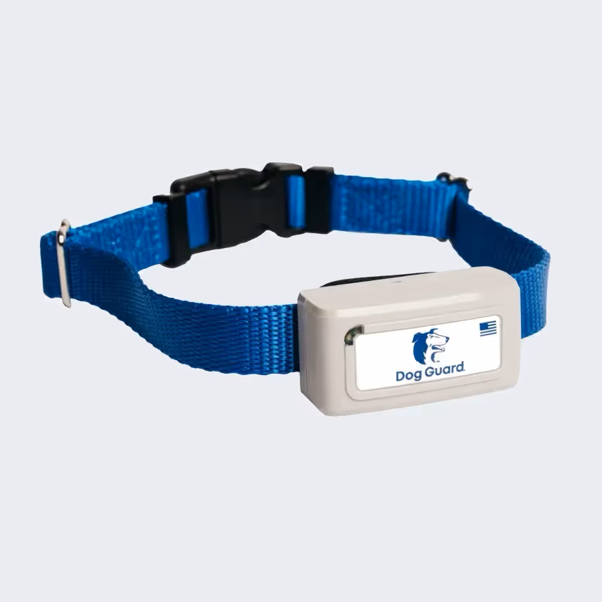 Dog Guard Freedom Pro Receiver