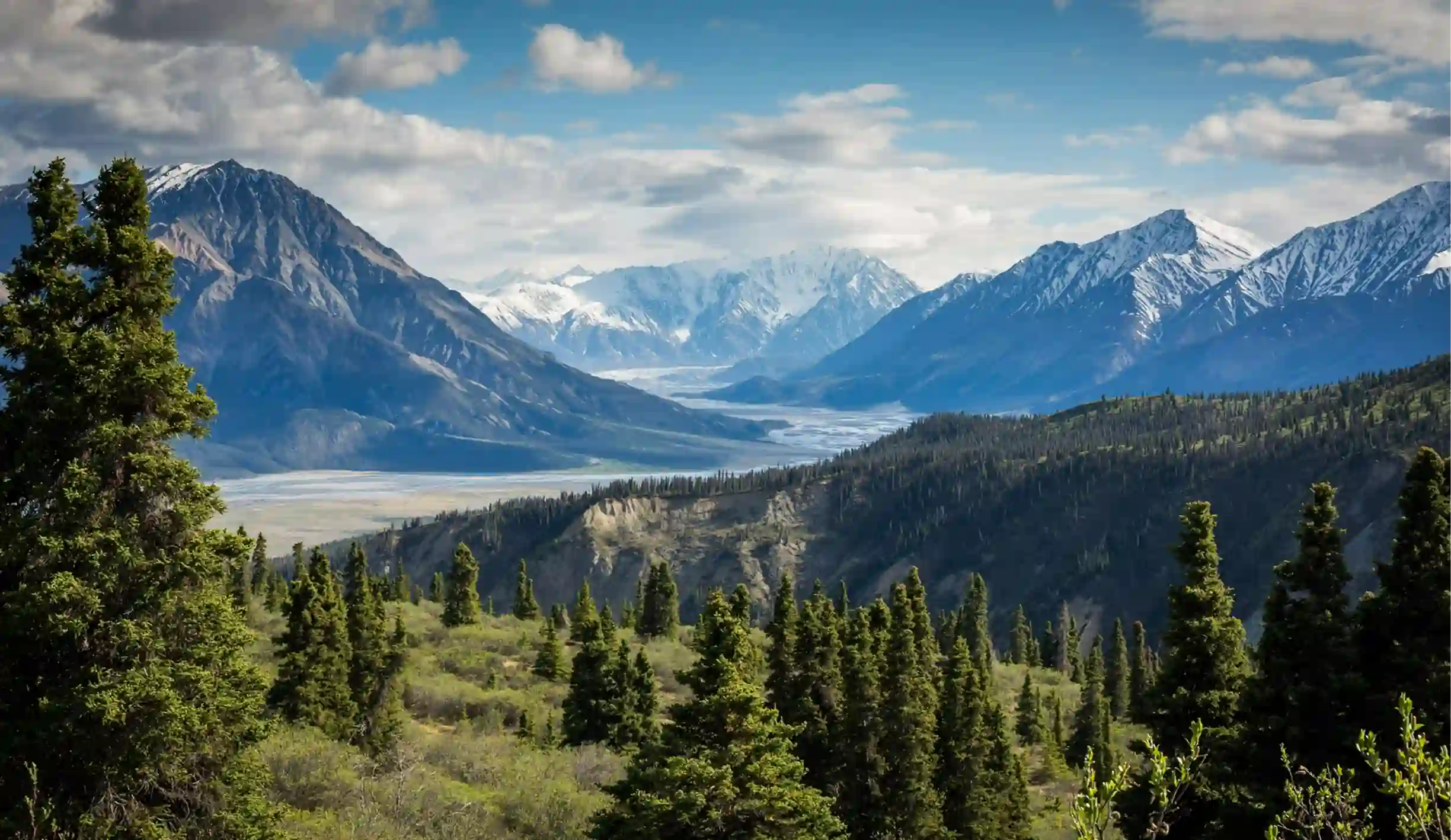 Scenic view of a forest with evergreen trees in the foreground and snow-capped mountains under a partly cloudy sky in the background.