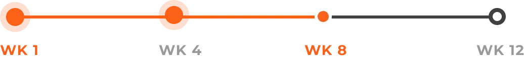 Progress bar showing weeks 1 to 10 with milestone markers at weeks 1, 2, 8, and 10.